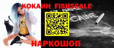 гашик Гусев