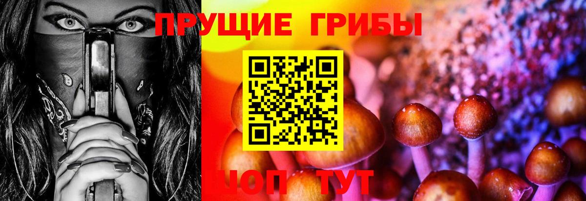 Мурино  Псилоцибиновые грибы ЛСД  Вход с VPN  купить наркотик  Галлюциногенные грибы GOLDEN TEACHER 